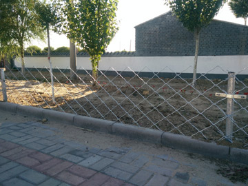 綠化帶隔離網(wǎng) 綠化帶隔離網(wǎng)