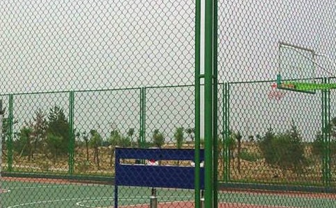 timg (3).jpg timg (3).jpg