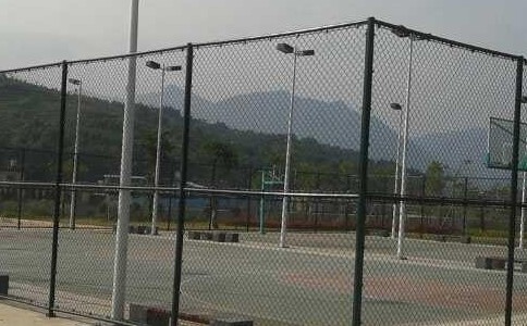 timg (1).jpg timg (1).jpg